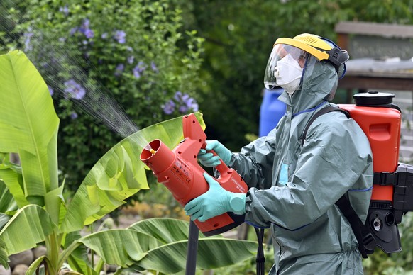 Insektizideinsatz gegen den Japankaefer in einem Garten in Kloten am Donnerstag, 27. Juli 2023. (KEYSTONE/Walter Bieri)