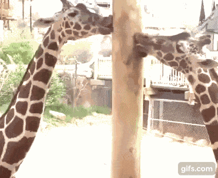 Xy Lustige Gifs Blabla Fancy Titel Noch Nicht Veroffentlichen