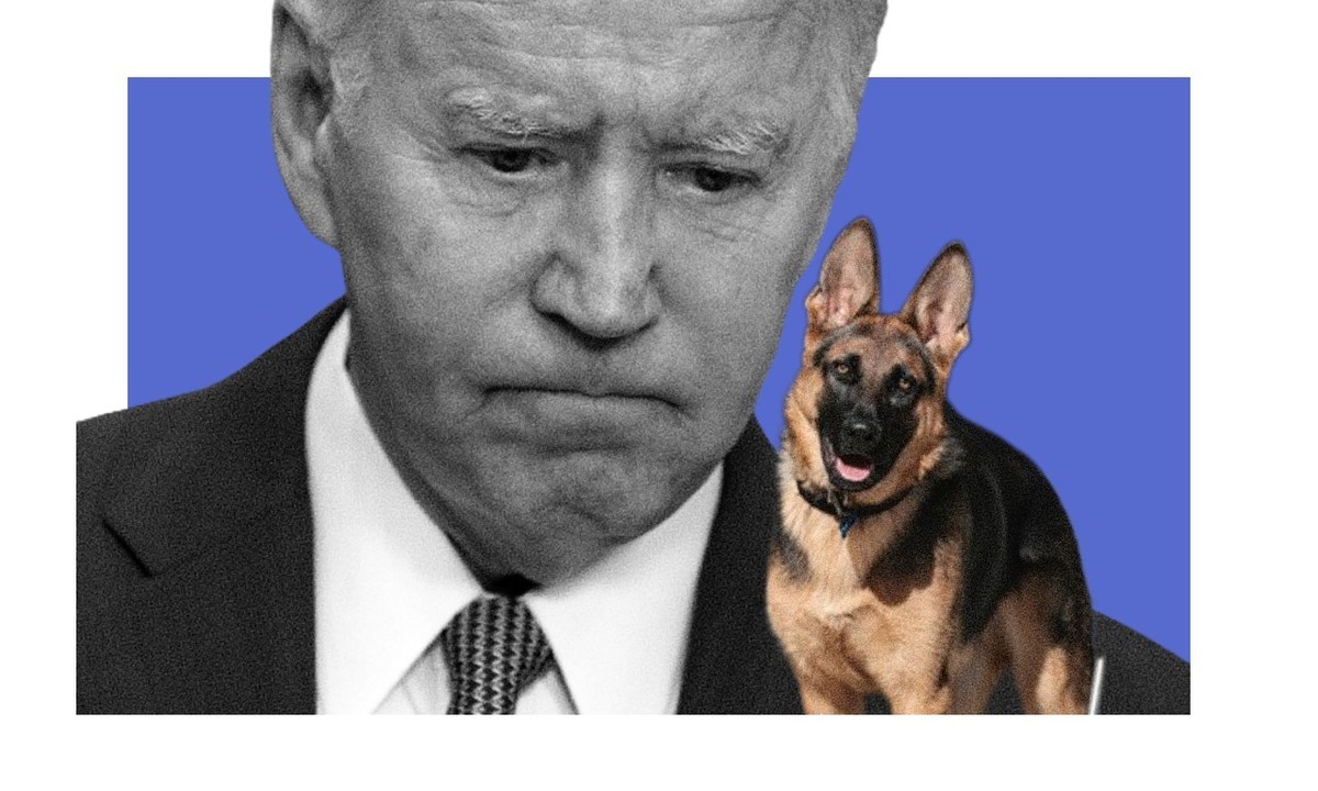 Commander, le chien de Biden a fait une onzième victime