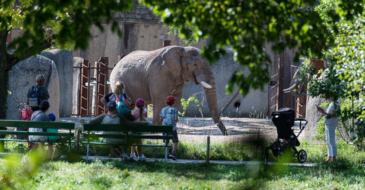 «Im erwarteten Rahmen»: Zoo Basel verzeichnet 2025 weniger Eintritte als im Vorjahr