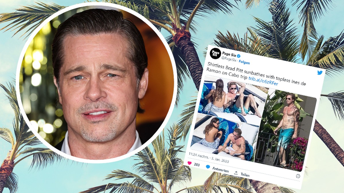 "Nie Wieder..." Brad Pitt Trauert Um Seine Mutter Und Fans Sind Tief Betroffen. - 46qtqqu