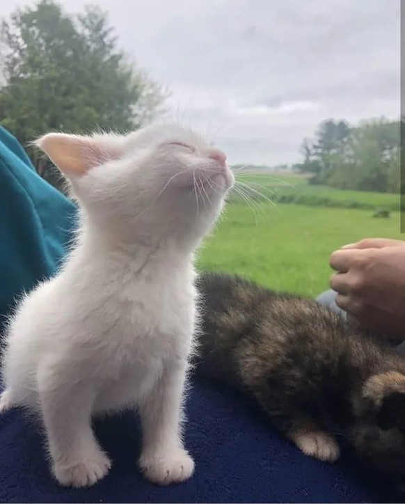 Lass den Kopf nicht hängen, die Cute News sind ja schon da
Feierabend und Weekend