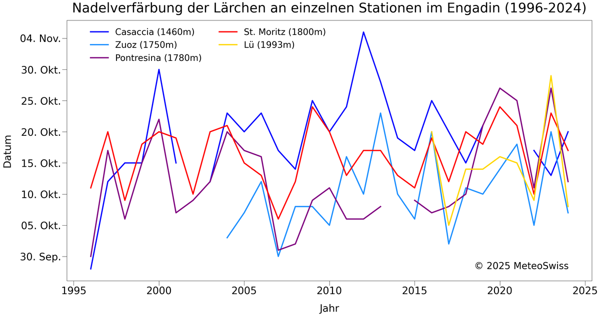 Nadelverfärbung der Lärchen im Engadin 1996-2024 Laubtracker Lärchen Herbst Schweiz