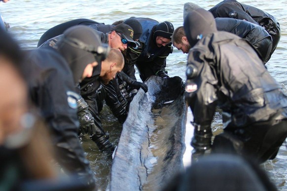 An extraordinarily rare 1,200-year-old canoe has been discovered intact in a US lake. The 15-foot 4.5-metre dugout canoe was found by Wisconsin Historical Society maritime archaeologists in Lake Mendo ...