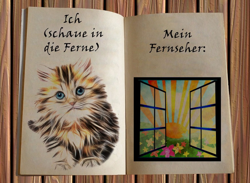 «Liebes Tagebuch, heute habe ich nichts getan.»
