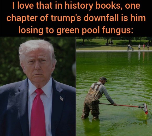 Trump Reflecting Pool Meme (2026)