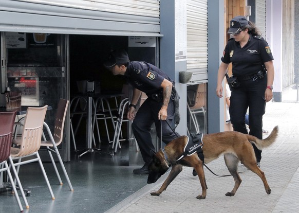 epa06935638 Spanish National Police officers search a warehouse as they carry on an operation against drugs in Cambados, Galicia, northern Spain, 08 August 2018. Two suspect men members of a family cl ...