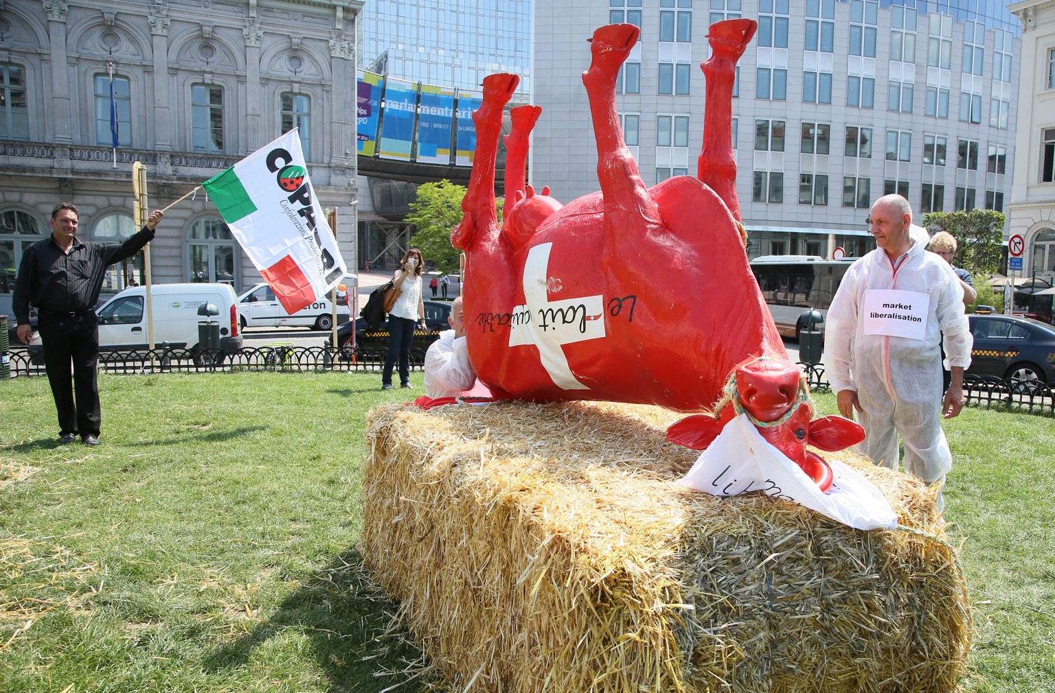 Die rot-weisse Schweizer Kuh hat gemäss den Milchbauern bereits vor der Liberalisierung kapituliert.