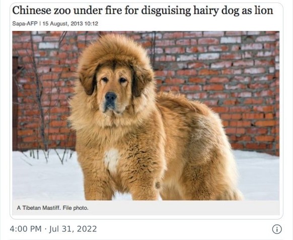 Funny headlines