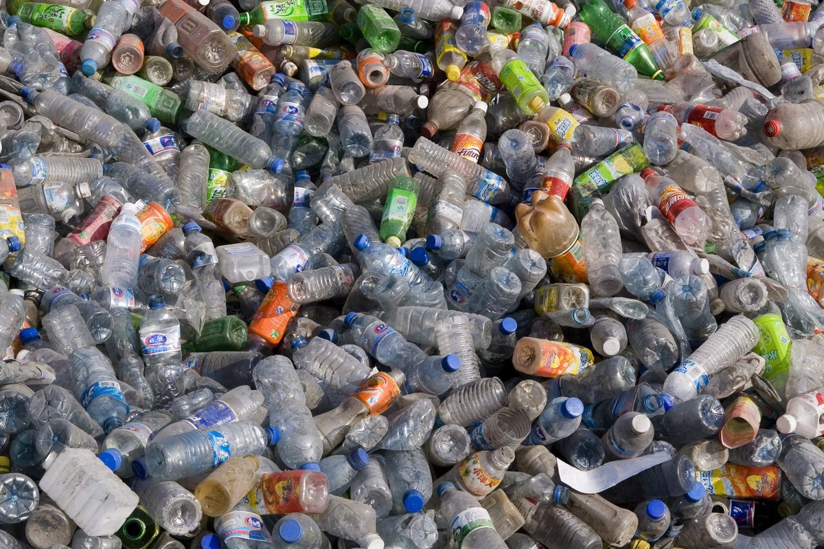 epa05205795 (FILE) A file picture dated 14 April 2007 shows used plastic bottles at a recycling facility in Jixi, China's north-eastern Heilongjiang province. Japanese researchers have discovered ...