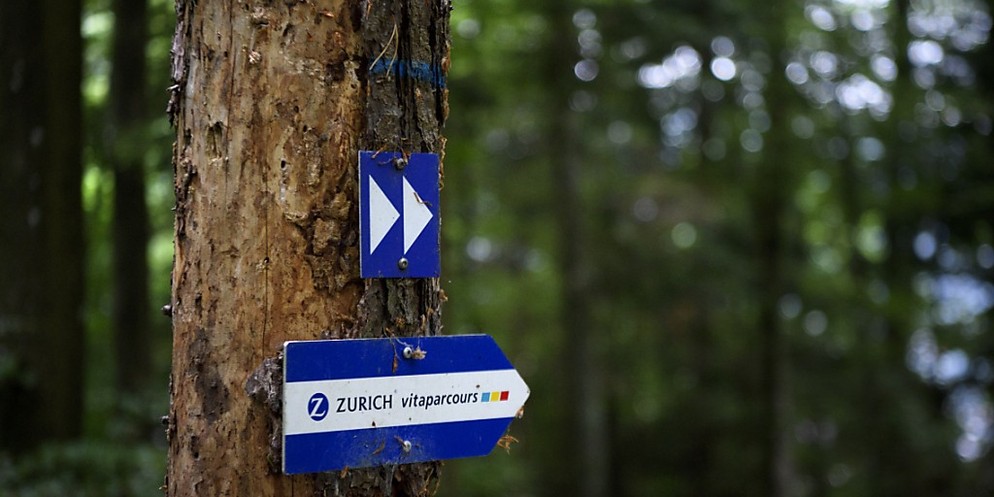 Gesundheitsförderung im Wald: 58 Vitaparcours gibts im Kanton Zürich.