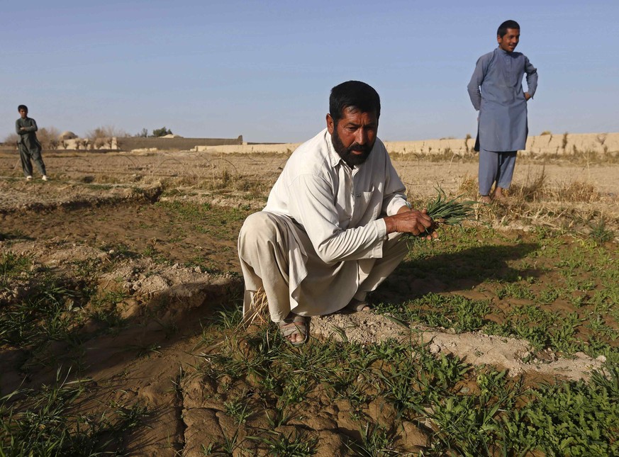 Afghanische Bauern sollen leichter exportieren können