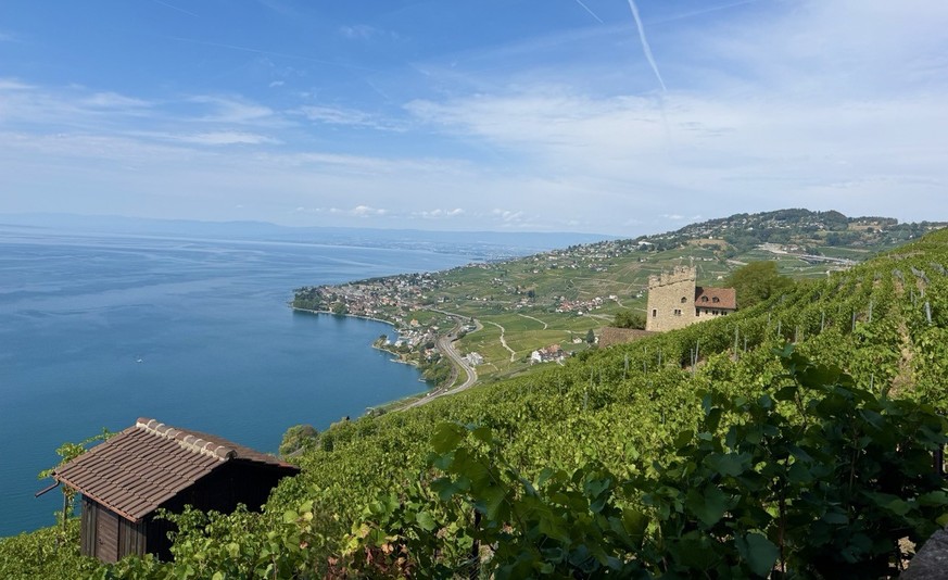 Mont Pèlerin Vevey Lavaux Weinterrassen Epesse Dézaley