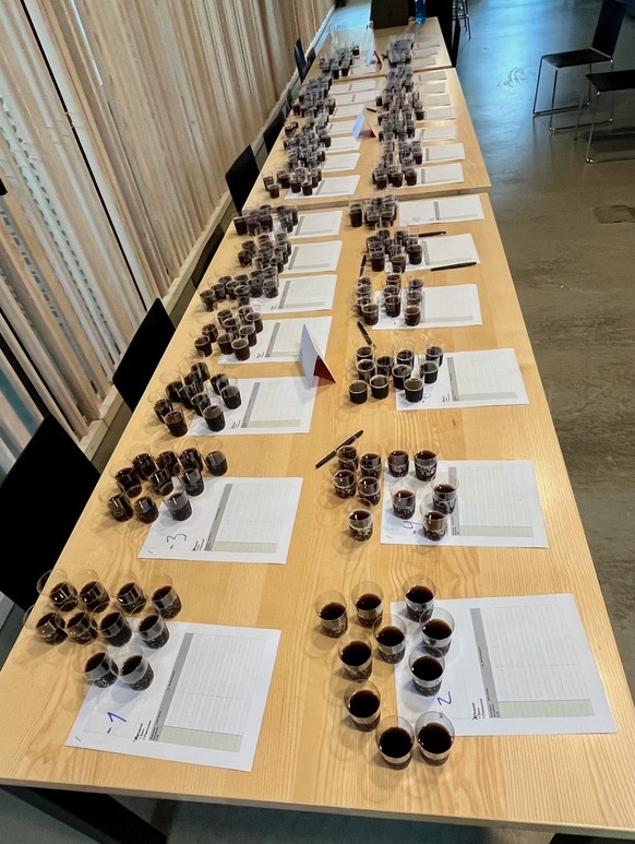 Watsons grosser Coci-Test. Die grosse Cola-Degustation.