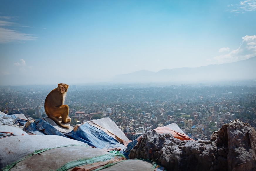 Der internationale Flughafen Kathmandu in Nepal hat seine besten Tage hinter sich. Nun soll ein zweiter internationaler Flughafen gebaut werden. Die Regierung hat dafür 80 Quadratkilometer Land – mehr ...