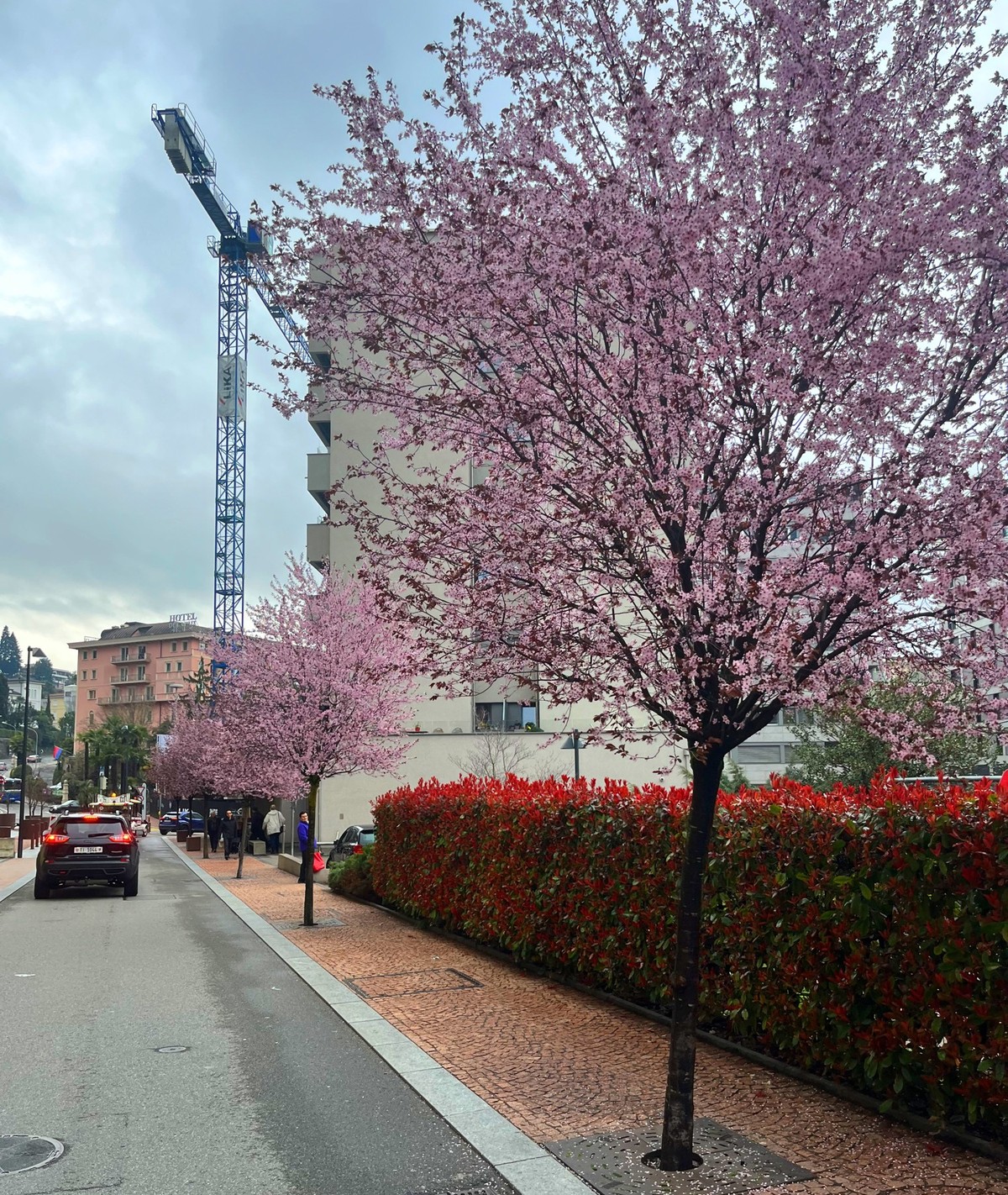 Paradiso Kirschblüten Via Franco Zorzi und Via delle Scuole