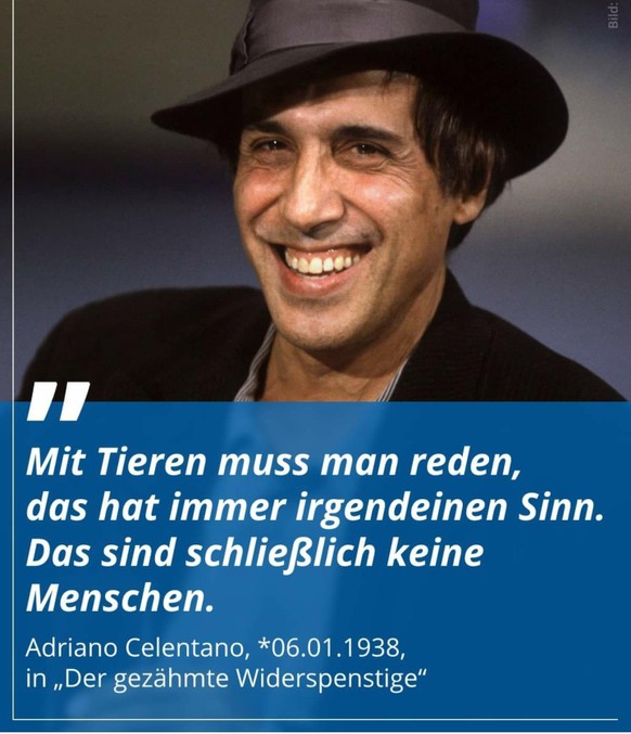 Zeit für Spassigkeiten: PICDUMP!\nHat was..