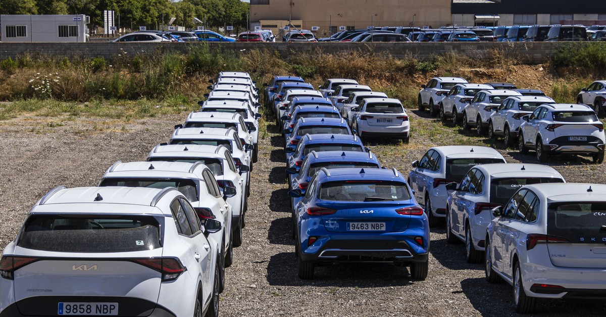 palma-verbannt-urlauberautos-aus-stadtzentrum