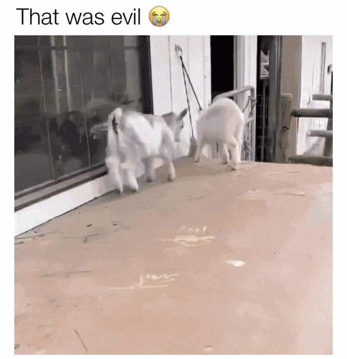 Animiertes GIF