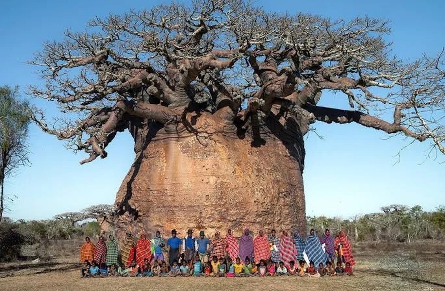 Tsitakakantsa, der grösste Baobab Madagaskars. 
https://preview.redd.it/tsitakakantsa-the-largest-baobab-tree-in-madagascar-is-v0-rfx1u7l1rp1h1.jpg?width=685&amp;format=pjpg&amp;auto=webp&amp;s=917ab6 ...