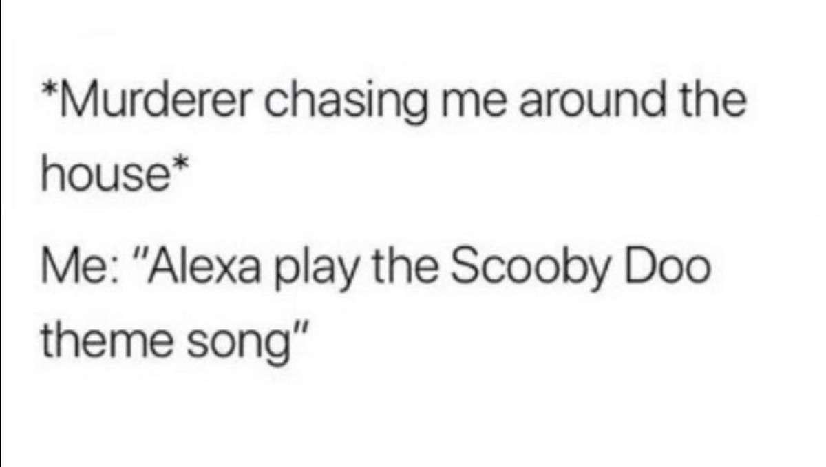 Das hier? Nur eine Botschaft aus einem anderen Universum. LG, Picdump\n*Mörder jagt mich durchs Haus*
Alexa spiel die Scooby do Titelmusik