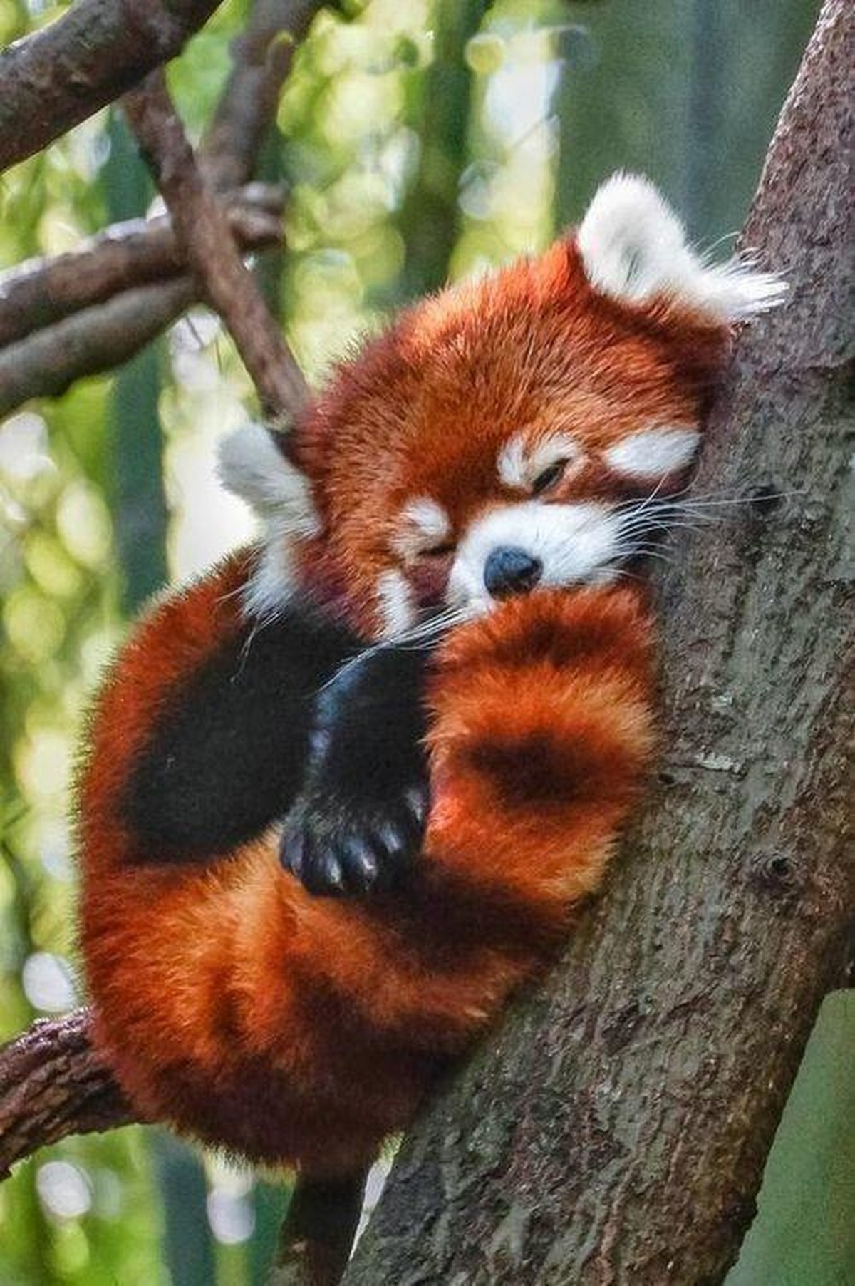 cute news süsse tierbilder