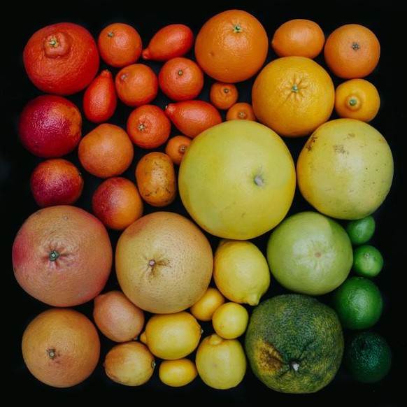 Früchte in allen Farben