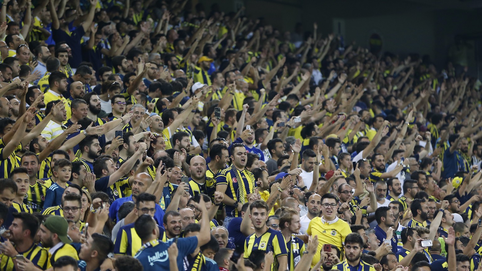 Fenerbahce supporters cheer on the stands during the Champions League third qualifying round, second leg, soccer match between Fenerbahce and Benfica at the Sukru Saracoglu stadium in Istanbul, Tuesda ...