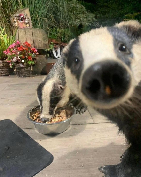 cute news tier 

https://www.instagram.com/p/DGFruTnqXtw/