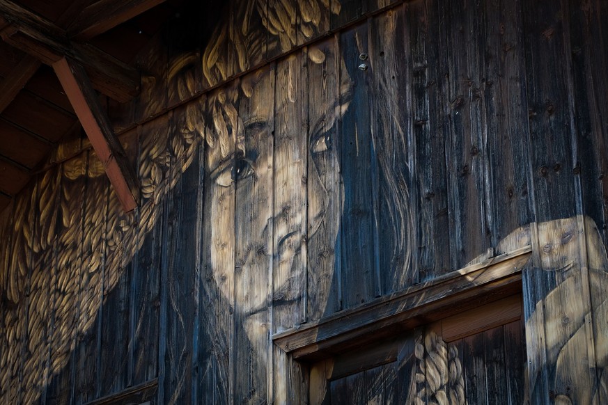 Streetart Festival 2023 – Kunstwerk an einer alten Holzfassade vom Künstler LPVD*A, 03.06.2023