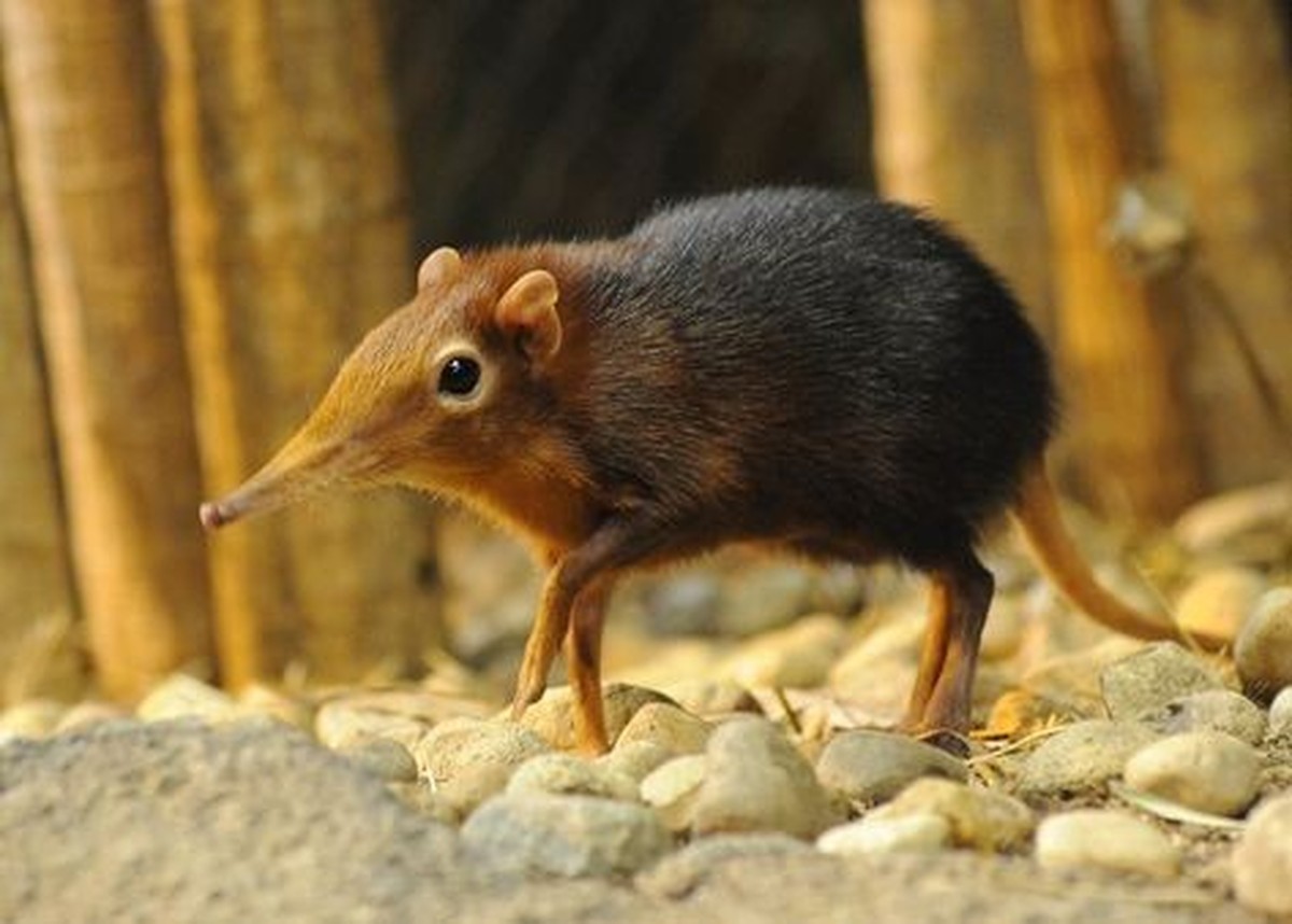 cute news tier 

https://ch.pinterest.com/pin/7881368092696884/