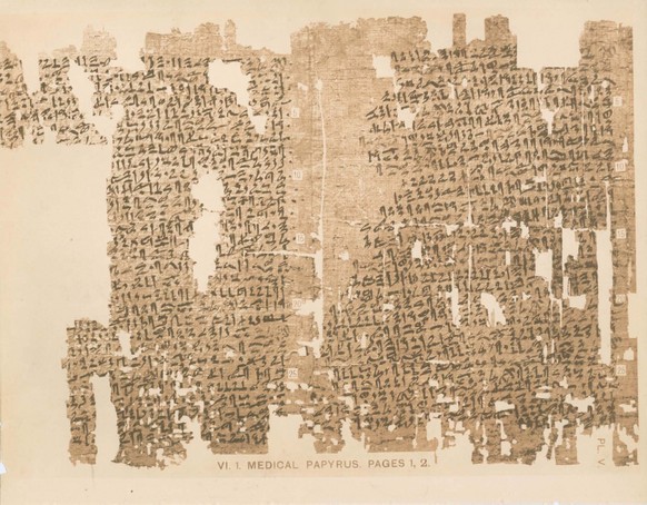 Die ersten beiden Seiten des Gynäkologischen Papyrus Kahun.