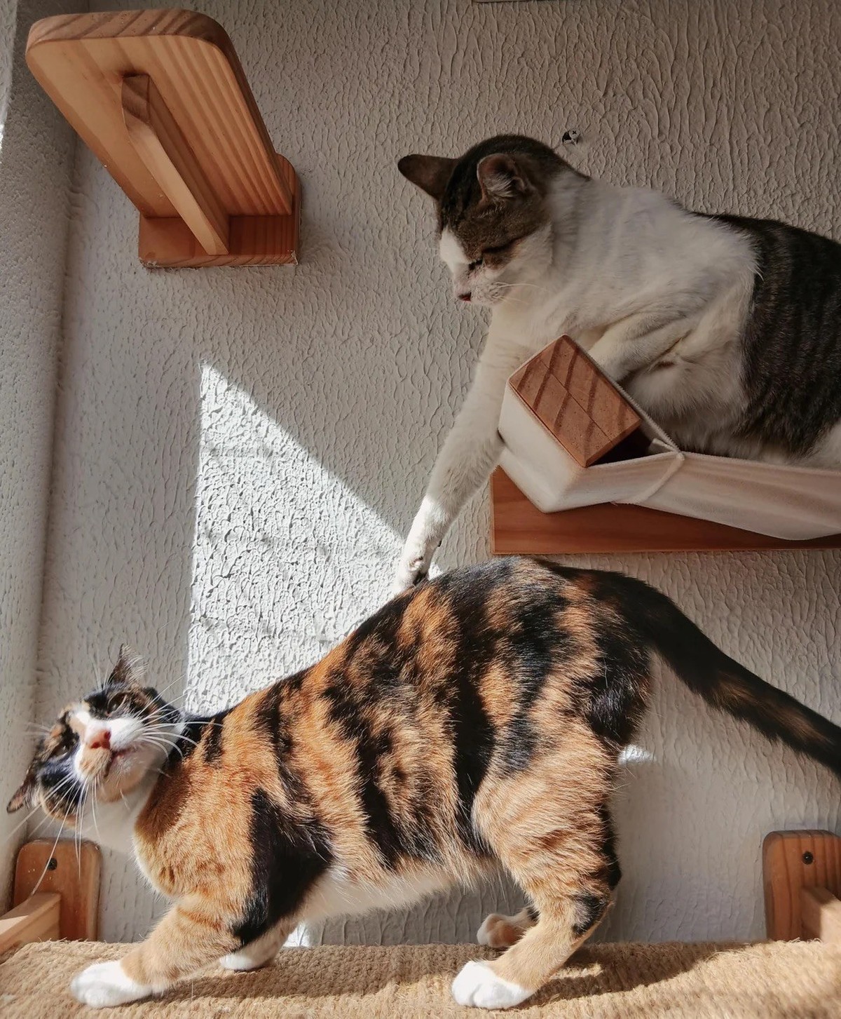 AccidentalRenaissance
The Claiming of the Morning Sun

https://www.reddit.com/media?url=https%3A%2F%2Fpreview.redd.it%2Fthe-claiming-of-the-morning-sun-v0-c4fbfeae9dsg1.jpeg%3Fwidth%3D1080%26crop%3Dsm ...