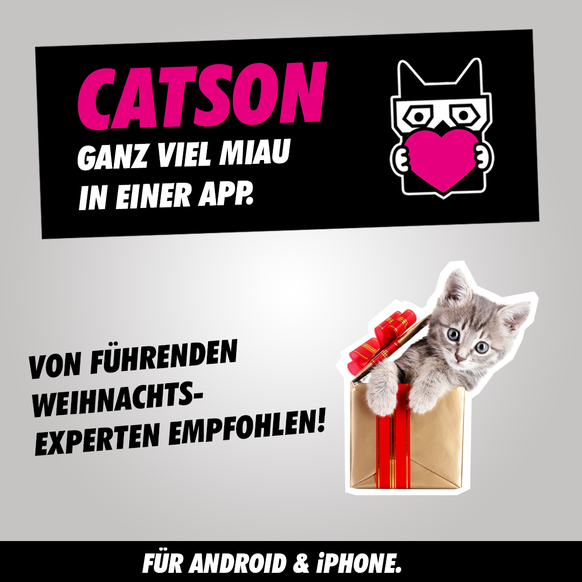 catson Weihnachten