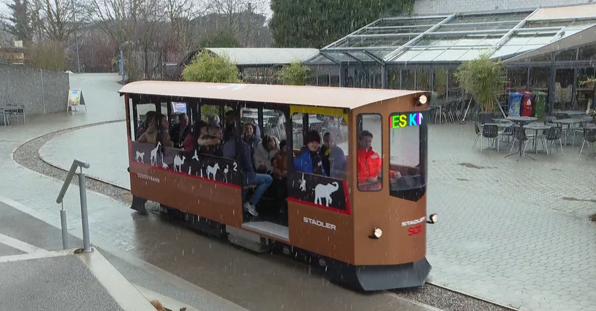so-sieht-das-neue-e-tram-im-knies-kinderzoo-aus