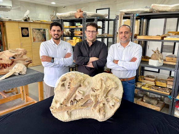 Egyptian researchers discover 41 million year old primeval whale