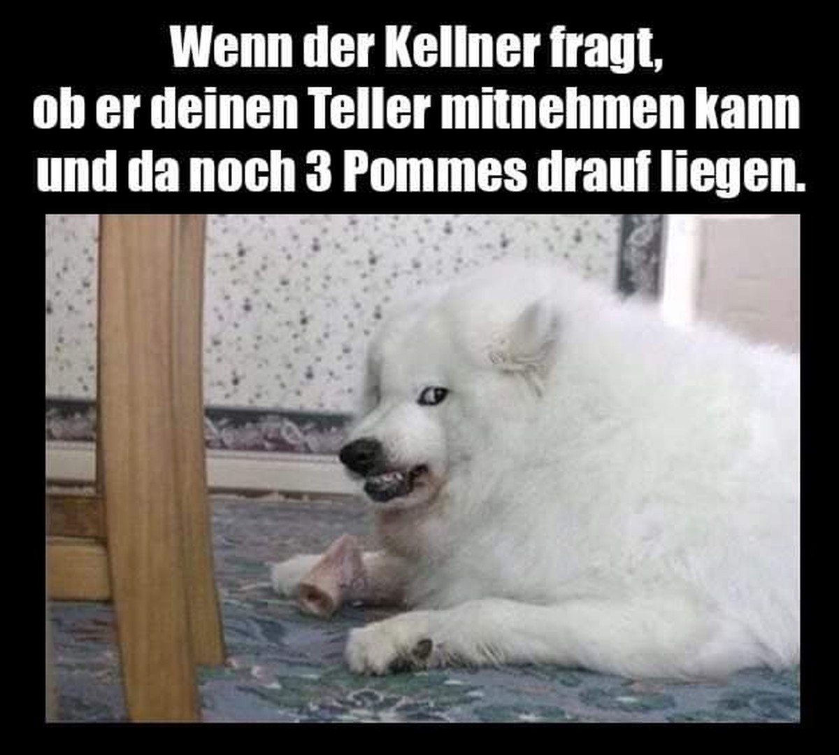 Kommt, Kinder! PICDUMP! рџ¦–
Grrrrrrrhh...