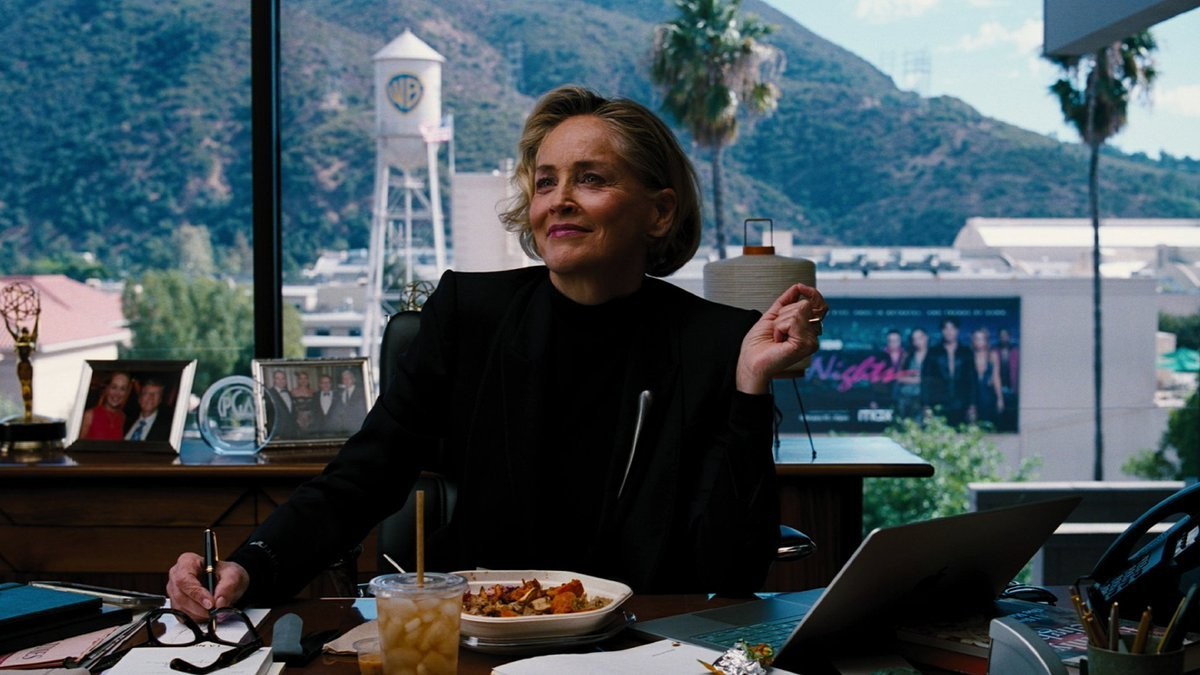 Reine de Hollywood durant les années 90, Sharon Stone signe un retour apprécié sur le petit écran.