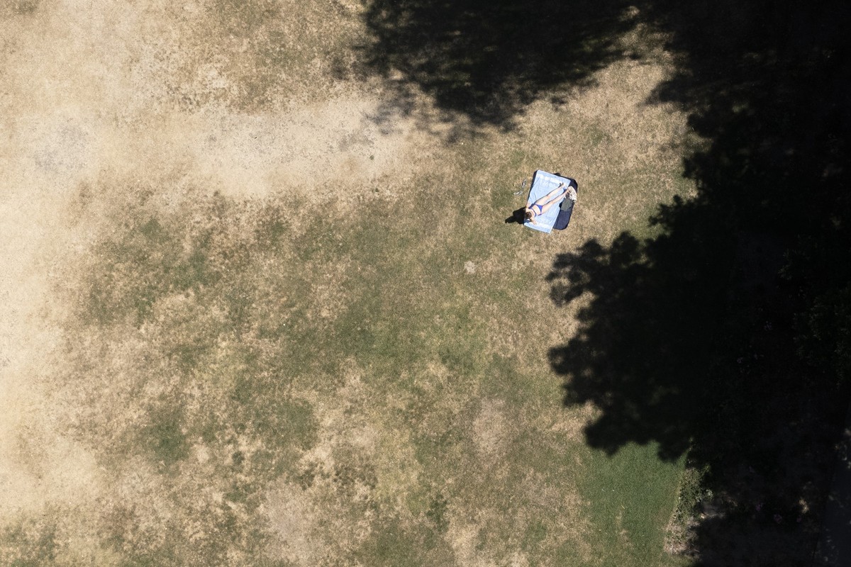 Ein Frau geniesst die Sonne auf einer vertrockneten Wiese, am Mittwoch, 12. August 2026 in Kilchberg. (KEYSTONE/Andreas Becker)