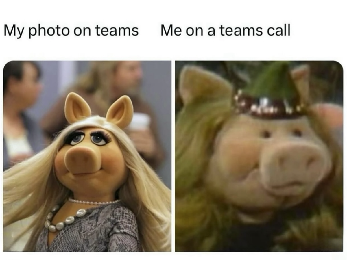 Lustige Memes bei der Arbeit
