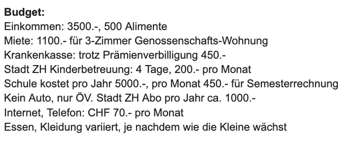 Jasmines Budget pro Monat.