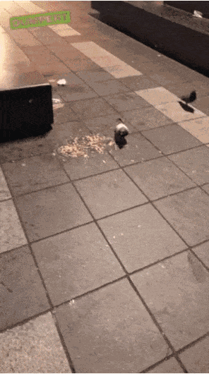 Animiertes GIF