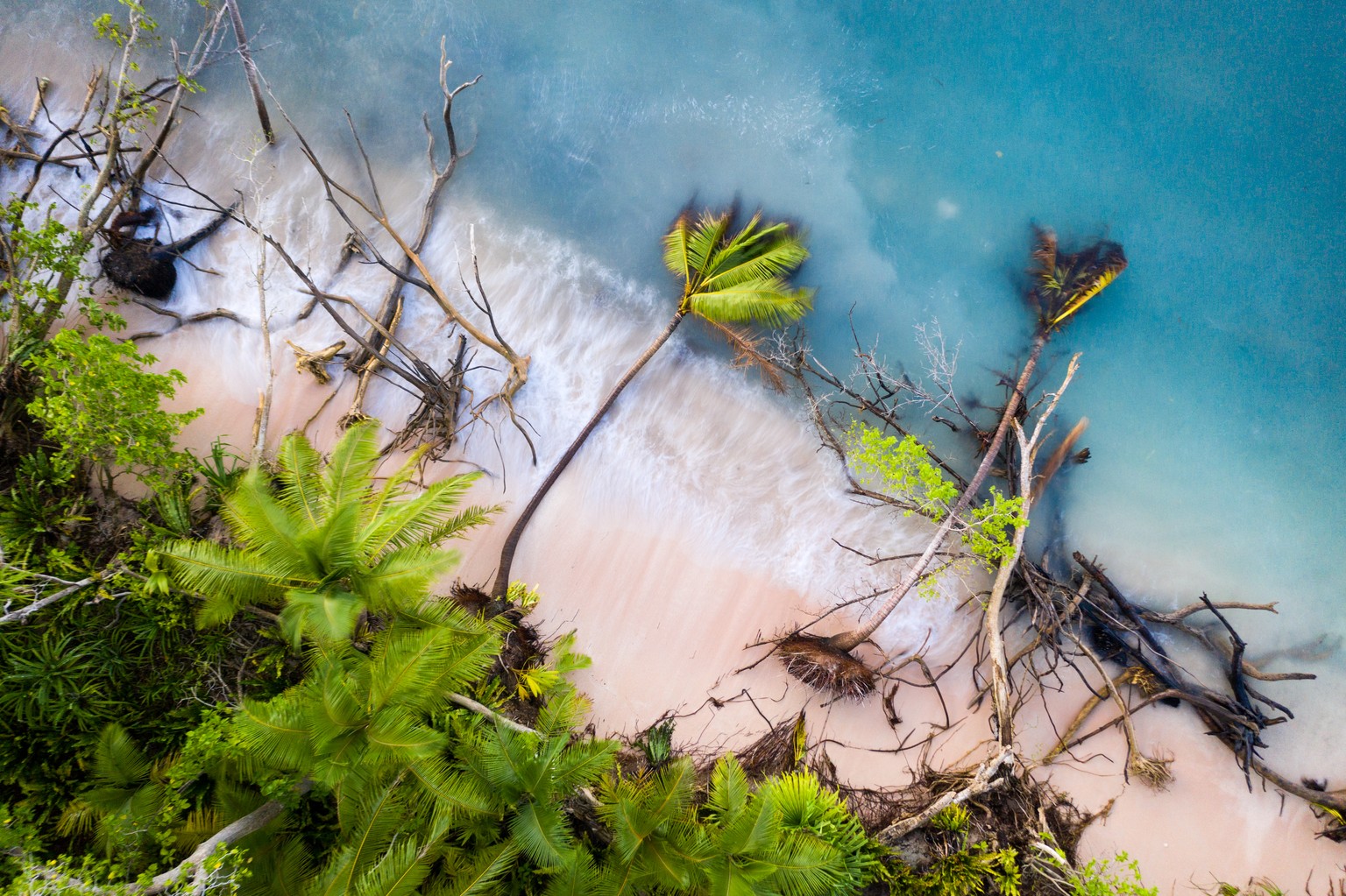 Fallen trees in the shallows of Funafuti atoll, Tuvalu. Erosion of land is an inevitable consequence of life in a coral atoll nation. As sea levels rise and increased threats from storm surges and ext ...