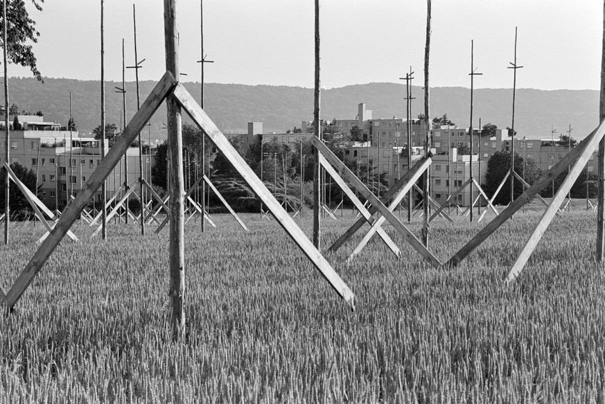 Baugespanne auf einem Acker mit Weizen zeugen von der fortschreitenden Zersiedelung und der Bodenverknappung in der Schweiz, aufgenommen im September 1989. (KEYSTONE/Str)