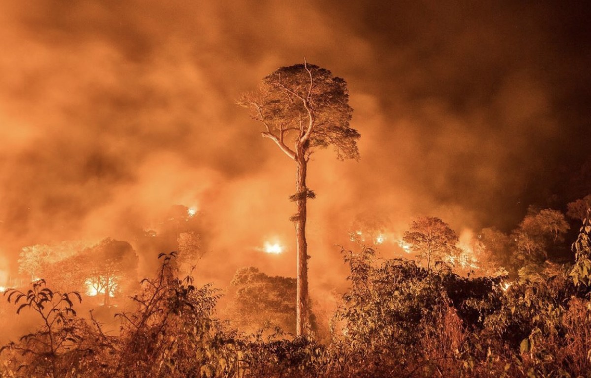 Verheerende Waldbrände im Amazonas – Bolsonaro schickt Armee zur Brandbekämpfung
ohne Worte...