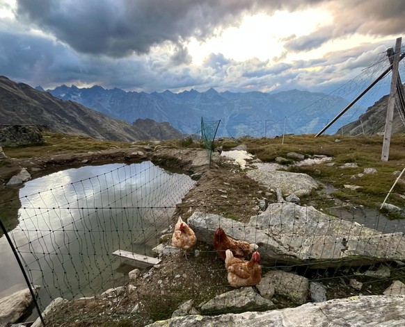 Bordierhütte Gross Bigerhorn Wallis SAC-Hütte