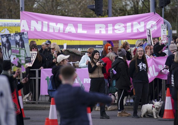 Animal Rising activists protest outside the gates ahead of day three of the Randox Grand National Festival at Aintree Racecourse, in Liverpool, England, Saturday, April 15, 2023. (Peter Byrne/via AP)