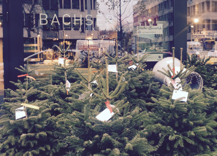«Rent a christmas tree» boomt: Miet-Bäume vor der Kalkbreite in Zürich.&nbsp;