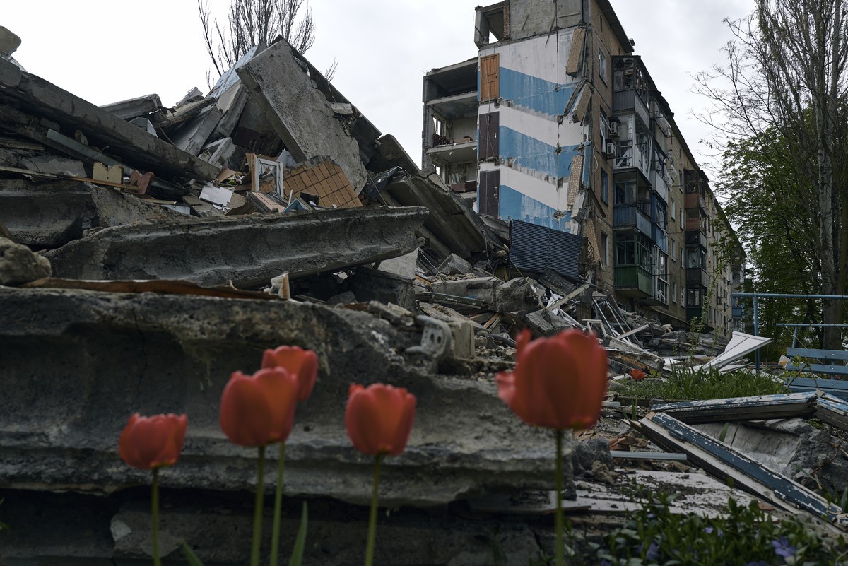 Tulips bloom amid debris of a ruined house in Avdiivka, in the Donetsk region, Ukraine, Friday, April 28, 2023. (AP Photo/Libkos)
