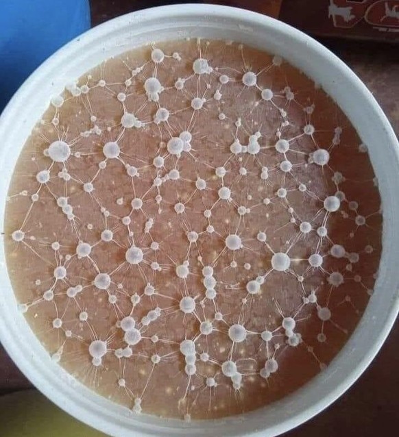 Mold